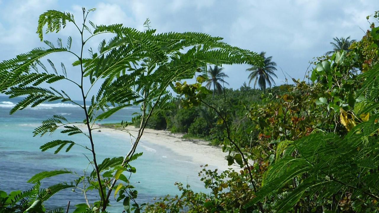 Surf Camp Kokoplaj, A 150M De La Plage Et Du Spot De Surf Сен-Ан Екстериор снимка